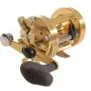 Tackle World Mackay SHIMANO CALCUTTA B BAITCAST REELS -Cheap Reels Store 022255066785 1
