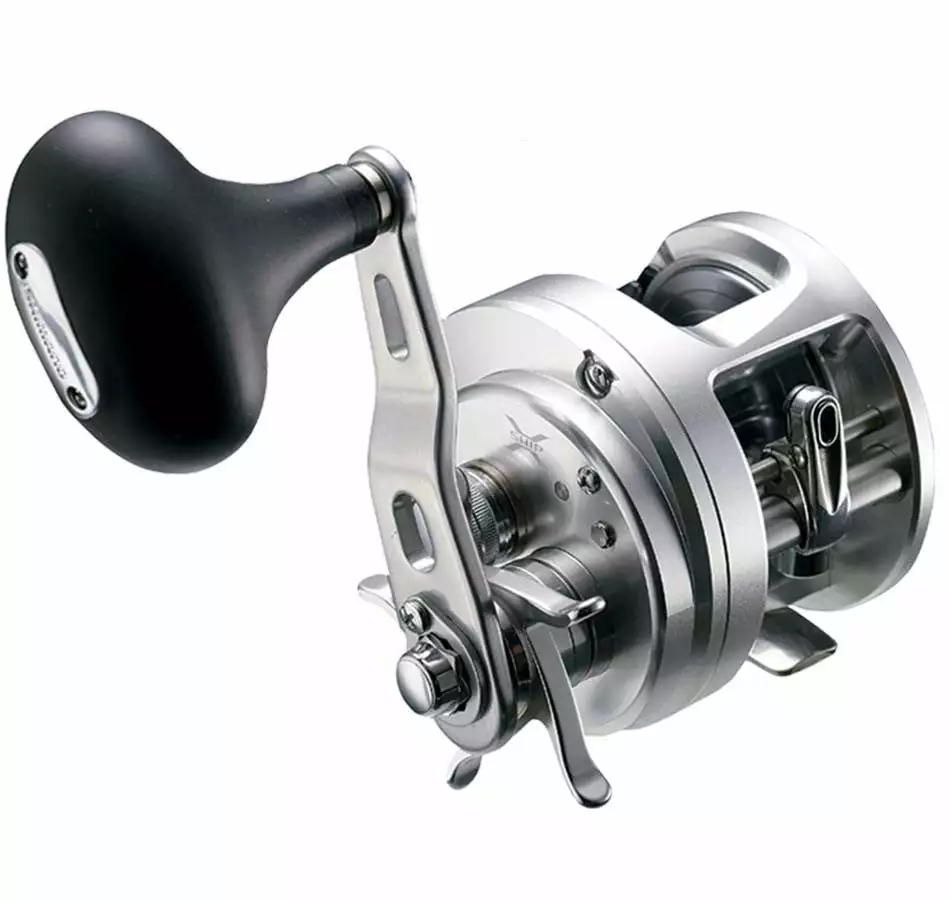 Tackle World Mackay SHIMANO TRANX A BAITCAST REELS 7 Tackle World Mackay SHIMANO TRANX A BAITCAST REELS - Image 5
