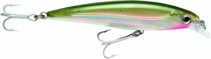 Tackle World Mackay RAPALA XRAP XTREME ACTION SLASHBAIT LURES 53 Tackle World Mackay RAPALA XRAP XTREME ACTION SLASHBAIT LURES - Image 51