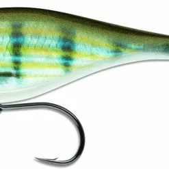 Tackle World Mackay RAPALA XRAP SALTWATER TWITCHIN MULLET LURES 19 Tackle World Mackay RAPALA XRAP SALTWATER TWITCHIN MULLET LURES -Cheap Reels Store 022677288253 1