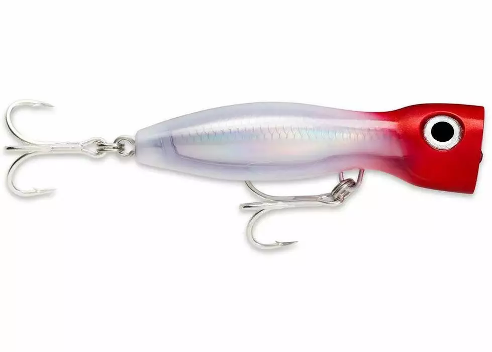 Tackle World Mackay RAPALA XRAP MAGNUM EXPLODE LURES 5 Tackle World Mackay RAPALA XRAP MAGNUM EXPLODE LURES - Image 3