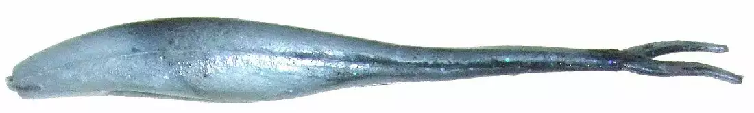 Tackle World Mackay BERKLEY GULP JERK SHAD LURES 31 Tackle World Mackay BERKLEY GULP JERK SHAD LURES - Image 29