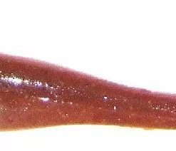 Tackle World Mackay BERKLEY GULP JERK SHAD LURES 51 Tackle World Mackay BERKLEY GULP JERK SHAD LURES -Cheap Reels Store 028632248089 1