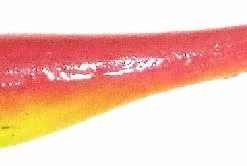 Tackle World Mackay BERKLEY GULP JERK SHAD LURES 65 Tackle World Mackay BERKLEY GULP JERK SHAD LURES -Cheap Reels Store 028632248119 1