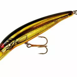 Tackle World Mackay BOMBER DP LONG A B24A LURES 10 Tackle World Mackay BOMBER DP LONG A B24A LURES -Cheap Reels Store 032256152165 1