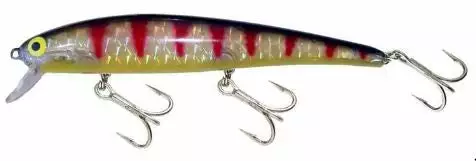 Tackle World Mackay BOMBER LONG A B14A LURES 5 Tackle World Mackay BOMBER LONG A B14A LURES - Image 3