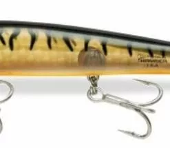 Tackle World Mackay BOMBER LONG A B14A LURES 13 Tackle World Mackay BOMBER LONG A B14A LURES -Cheap Reels Store 032256247090 1