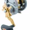 Tackle World Mackay DAIWA SALTIST LEVEL WIND OVERHEAD REELS -Cheap Reels Store 043178936795 1