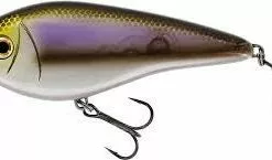Tackle World Mackay Westin 12cm Swim Lures 25 Tackle World Mackay Westin 12cm Swim Lures -Cheap Reels Store 5707549449400 1