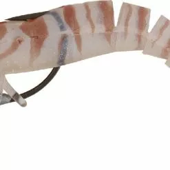 Tackle World Mackay ECOOODA LIVE SHRIMP LURES 31 Tackle World Mackay ECOOODA LIVE SHRIMP LURES -Cheap Reels Store 6956382601943 1 6c9f740d 1714 4320 8253 76472ccf30b0
