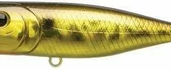 Tackle World Mackay LUCKY CRAFT G SPLASH LURES -Cheap Reels Store 802897062563 1
