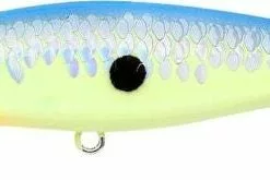 Tackle World Mackay LUCKY CRAFT POINTER LURES -Cheap Reels Store 802897081557 1