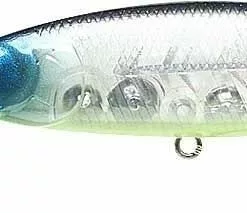 Tackle World Mackay LUCKY CRAFT POINTER LURES -Cheap Reels Store 802897083711 1