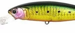 Tackle World Mackay LUCKY CRAFT POINTER LURES -Cheap Reels Store 802897117546 1