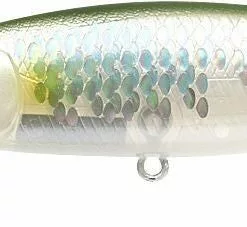 Tackle World Mackay LUCKY CRAFT POINTER LURES -Cheap Reels Store 802897248295 1