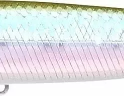 Tackle World Mackay LUCKY CRAFT G SPLASH LURES