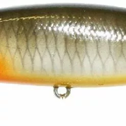 Tackle World Mackay LUCKY CRAFT POINTER LURES -Cheap Reels Store 842406043201 1