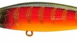 Tackle World Mackay LUCKY CRAFT POINTER LURES -Cheap Reels Store 884403992182 1