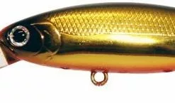 Tackle World Mackay LUCKY CRAFT POINTER LURES -Cheap Reels Store 885391948755 1