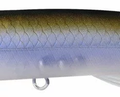 Tackle World Mackay BONE ENTICE TOP WATER LURES