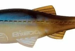 Tackle World Mackay BIWAA KAPSIZ SWIMMER LURES -Cheap Reels Store 9001584000005 1