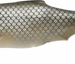 Tackle World Mackay BIWAA SUBMISSION LURES - UNRIGGED 24 Tackle World Mackay BIWAA SUBMISSION LURES - UNRIGGED -Cheap Reels Store 9001755000001 1