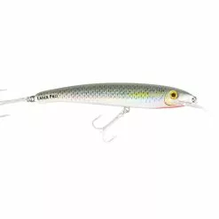 Tackle World Mackay HALCO LASER PRO LURES -Cheap Reels Store 9312612157449 1