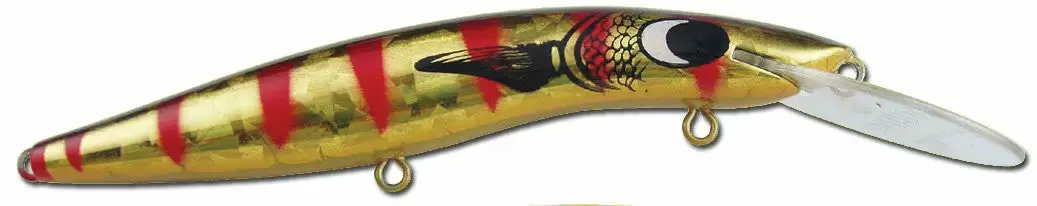 Tackle World Mackay CLASSIC BARRA 120 LURES 25 Tackle World Mackay CLASSIC BARRA 120 LURES - Image 23