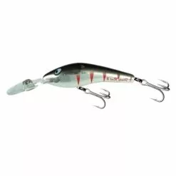 Tackle World Mackay KILLALURE FLAT RATZ 2 +10 20 Tackle World Mackay KILLALURE FLAT RATZ 2 +10 -Cheap Reels Store 9314246322156 1