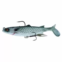 Tackle World Mackay CHASEBAITS PODDY MULLET LURES -Cheap Reels Store 9329272063836 1 72edf8ff 1f30 4a9c 9d4b b99c1fb3b8a3