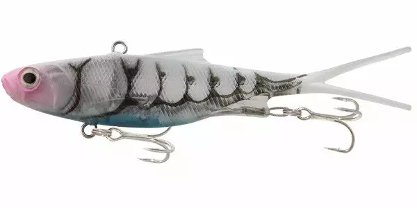 Tackle World Mackay SAMAKI VIBELICIOUS FORKTAIL LURES 51 Tackle World Mackay SAMAKI VIBELICIOUS FORKTAIL LURES - Image 49