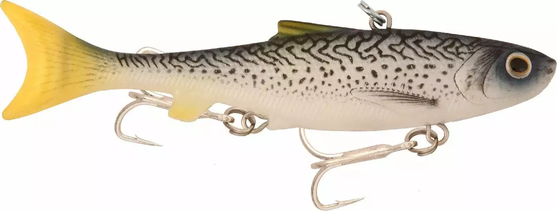 Tackle World Mackay SAMAKI VIBELICIOUS THUMPER TAIL LURES 50 Tackle World Mackay SAMAKI VIBELICIOUS THUMPER TAIL LURES - Image 48