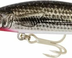 Tackle World Mackay SAMAKI REDIC JERBAIT LURES -Cheap Reels Store 9342582028296 1
