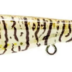 Tackle World Mackay NOMAD DARTWING FLOATING LURES