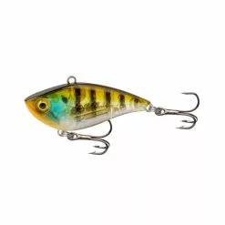 Tackle World Mackay FISHCRAFT DRITY DR LURES