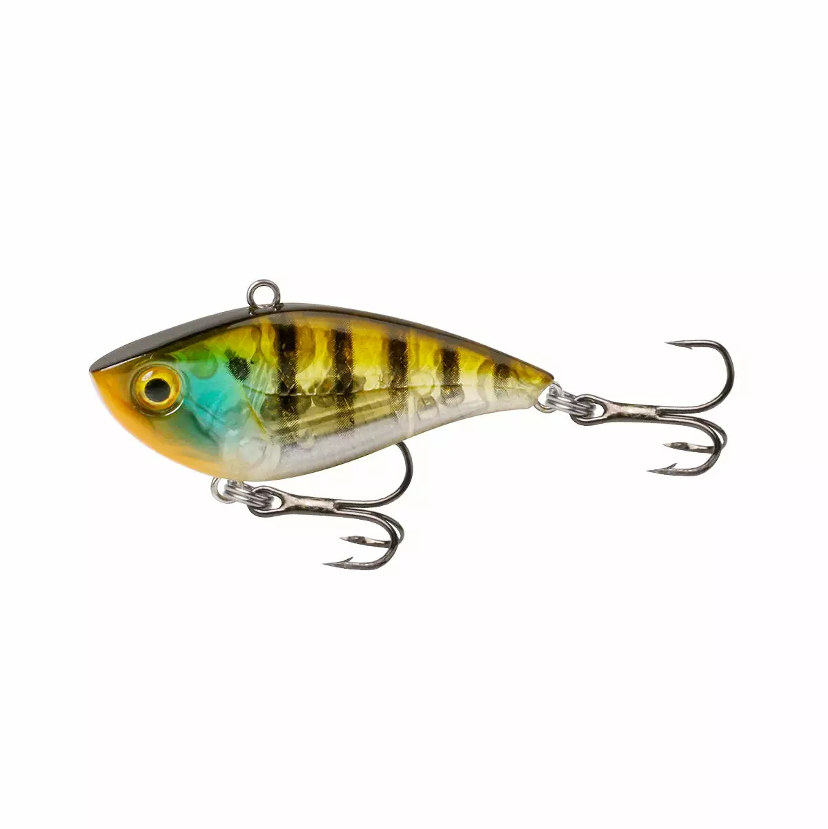 Tackle World Mackay FISHCRAFT DRITY DR LURES 3 Tackle World Mackay FISHCRAFT DRITY DR LURES