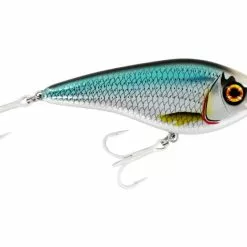 Tackle World Mackay Westin 12cm Swim Lures 26 Tackle World Mackay Westin 12cm Swim Lures -Cheap Reels Store CHROMESARDINE 9c24dfbd 5e69 44fa 8aab 09d04c9e2763