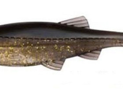 Tackle World Mackay BIWAA KAPSIZ SWIMMER LURES -Cheap Reels Store GOLDSHINER