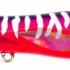 Tackle World Mackay NOMAD CHUG NORRIS POPPER LURES -Cheap Reels Store HMP