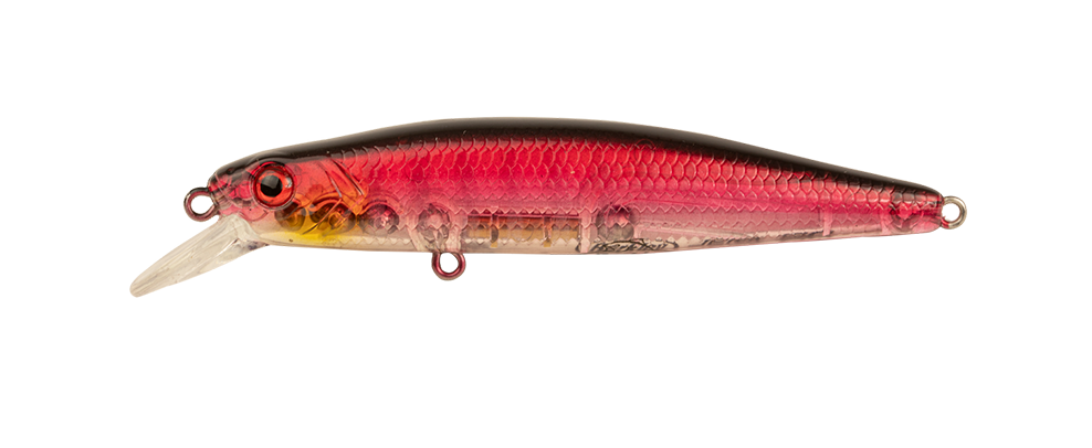 Tackle World Mackay BERKLEY PRO-TECH JERK LURES 3 Tackle World Mackay BERKLEY PRO-TECH JERK LURES