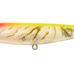 Tackle World Mackay BERKLEY PRO-TECH SLURP LURES 11 Tackle World Mackay BERKLEY PRO-TECH SLURP LURES -Cheap Reels Store ProTech Slurp 85mm Peach Face