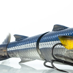 Tackle World Mackay CHASEBAITS DRUNKEN MULLET FLOATING LURES -Cheap Reels Store Screen Shot 2021 11 15 at 12.34.12 pm