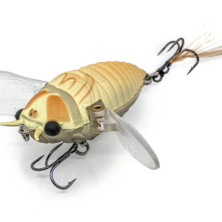 Tackle World Mackay CHASEBAITS RIPPLE CICADA 02