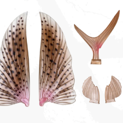 Tackle World Mackay NOMAD SLIPSTREAM FLYING FISH WING PACK 23 Tackle World Mackay NOMAD SLIPSTREAM FLYING FISH WING PACK -Cheap Reels Store Screen Shot 2021 11 17 at 9.09.02 am