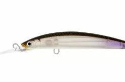 Tackle World Mackay DAIWA DOUBLE CLUTCH IZM SUSPENDING LURES -Cheap Reels Store WAKASAGI aa2f4617 0dc9 42ef 9e62 e7fe0852ad23