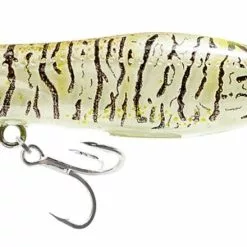 Tackle World Mackay NOMAD CHUG NORRIS POPPER LURES -Cheap Reels Store bssr