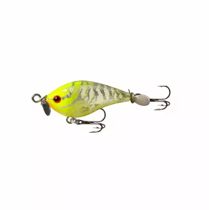 Tackle World Mackay FISHCRAFT FIZZ BUG LURES 4 Tackle World Mackay FISHCRAFT FIZZ BUG LURES - Image 2