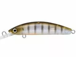 Tackle World Mackay DAIWA DOUBLE CLUTCH IZM SUSPENDING LURES -Cheap Reels Store ghostperch 4acdf7c2 4a8f 4628 9bff 52e8d3349f32