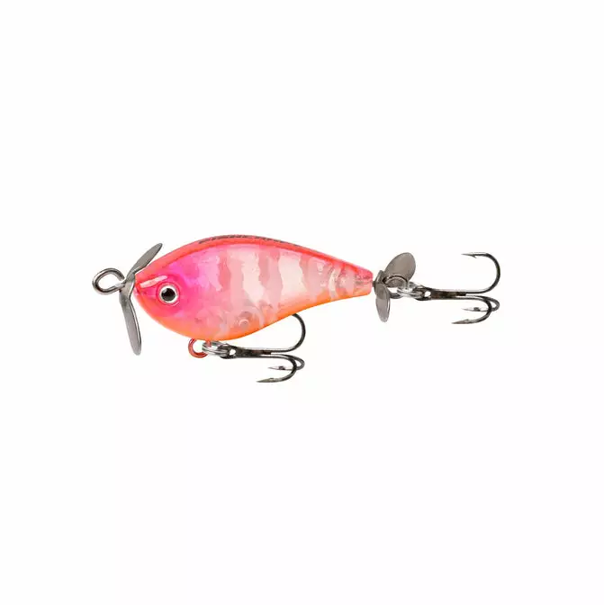 Tackle World Mackay FISHCRAFT FIZZ BUG LURES 6 Tackle World Mackay FISHCRAFT FIZZ BUG LURES - Image 4