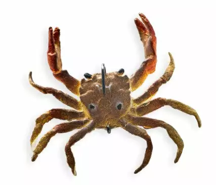 Tackle World Mackay CHASEBAITS CRUSTY CRAB LURES 8 Tackle World Mackay CHASEBAITS CRUSTY CRAB LURES - Image 6